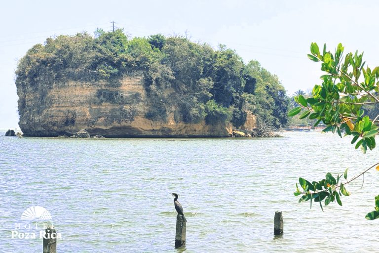 El Farallón En Poza Rica Veracruz